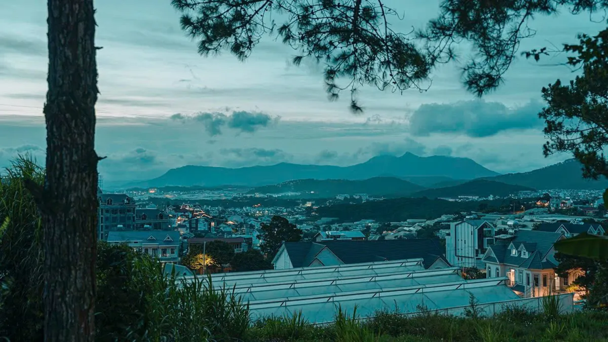 Bảo Bảo