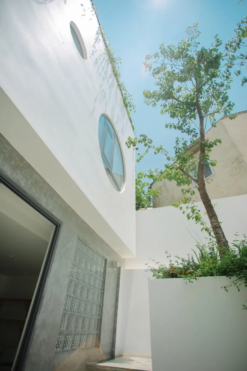 Bims House