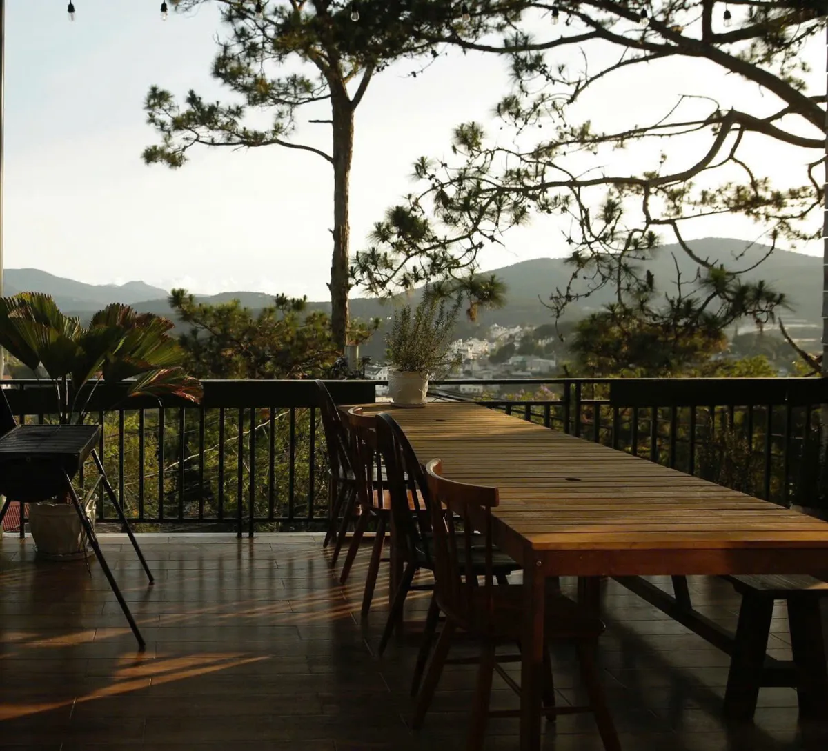 Pine Tree House