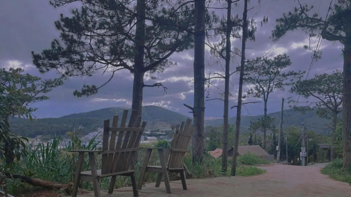 Pine Tree House