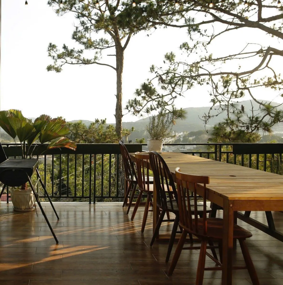 Pine Tree House