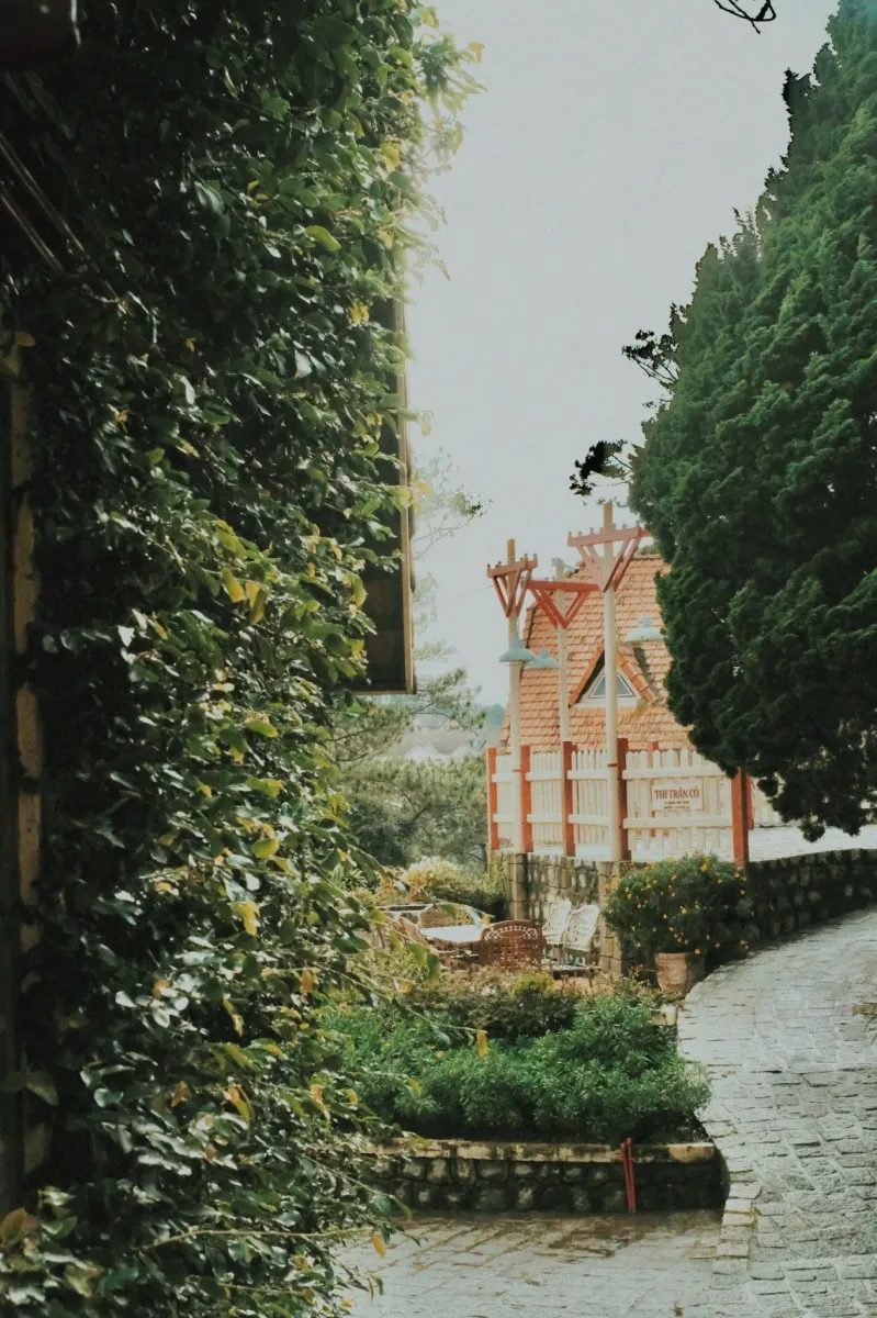 Thị Trấn Cổ
