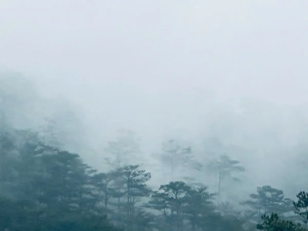 Măng Lin 2