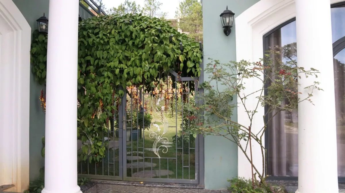 Villa Nam Hồ