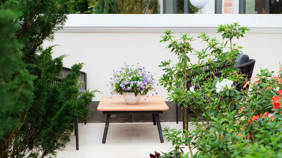Maison D Horizon