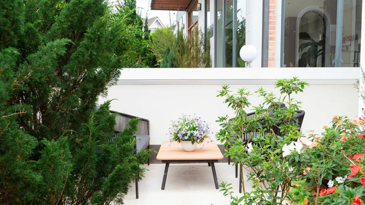Maison D Horizon