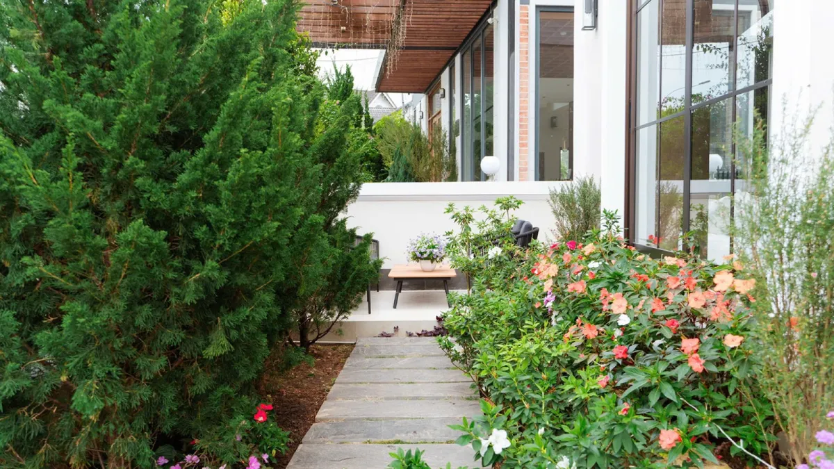 Maison D Horizon