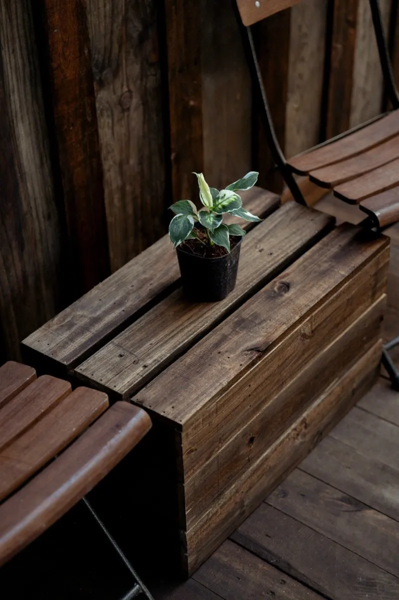 Nori Home 1