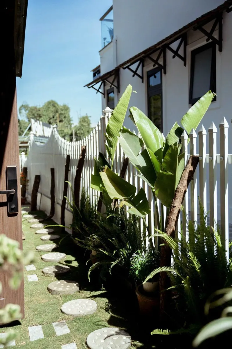 Nori Home 1