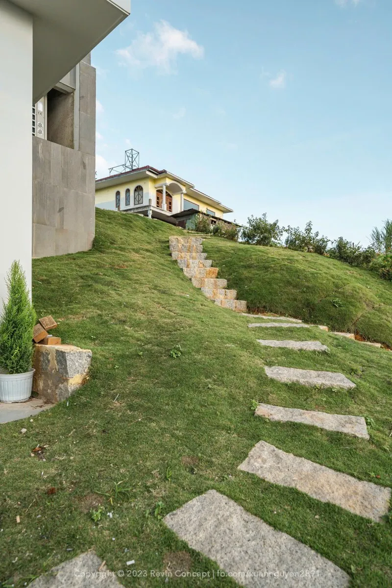 Lehu Bạch Đằng