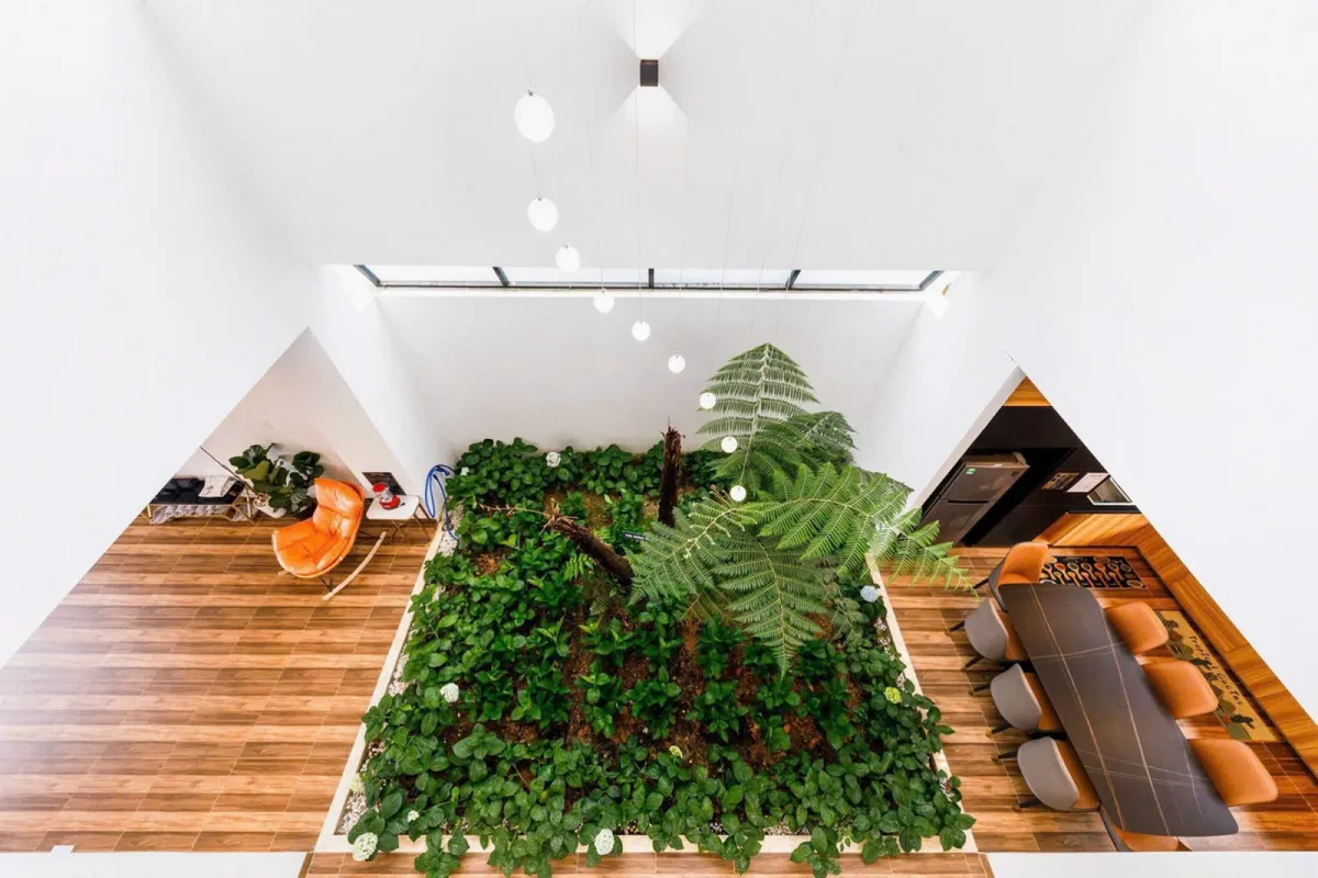 Cacao Villa