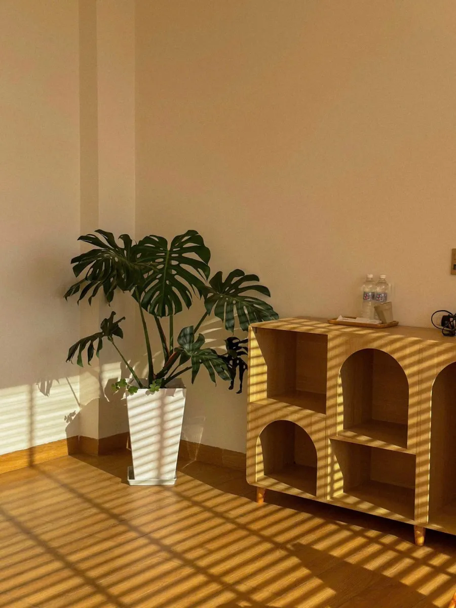 Healing Home