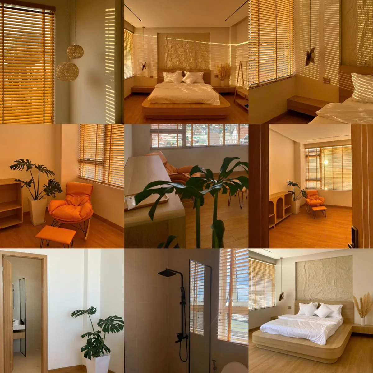 Healing Home