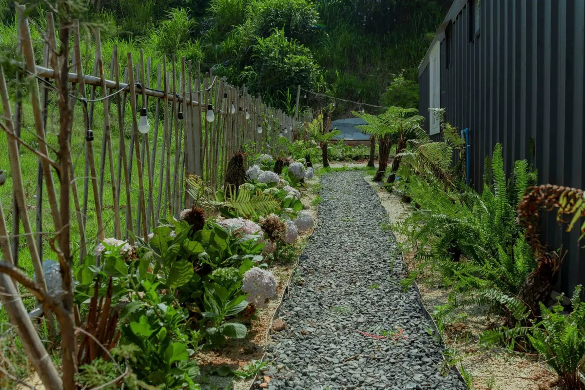 Mơ Home