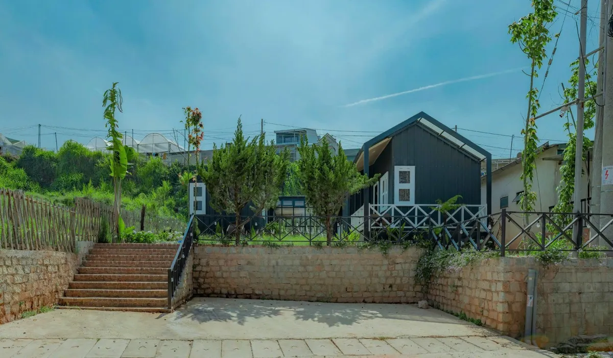Mơ Home