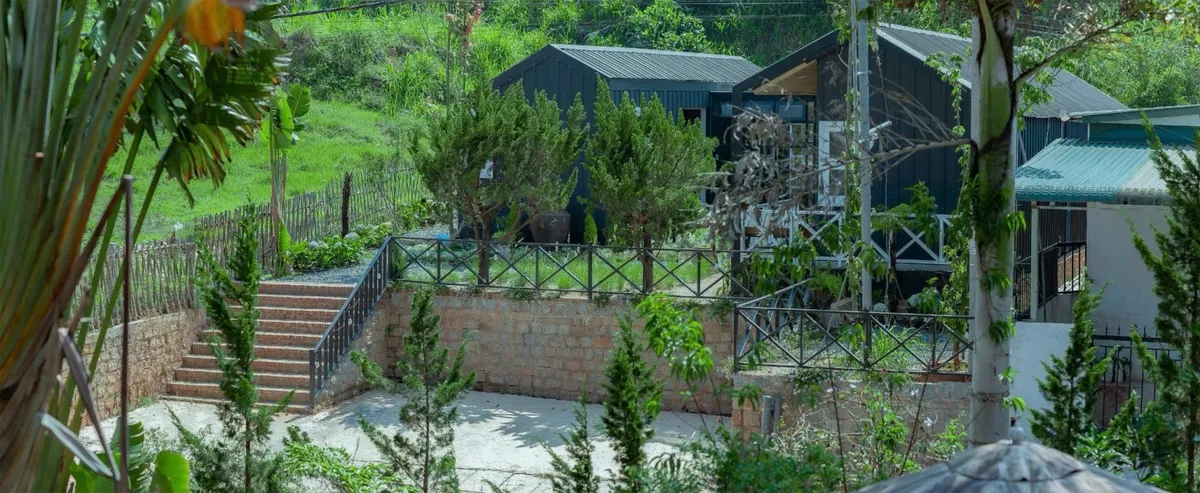 Mơ Home