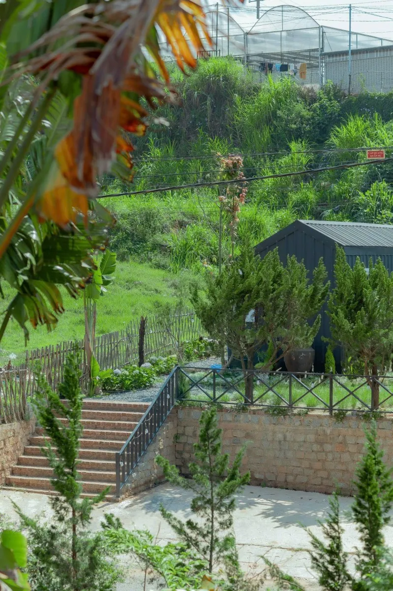 Mơ Home